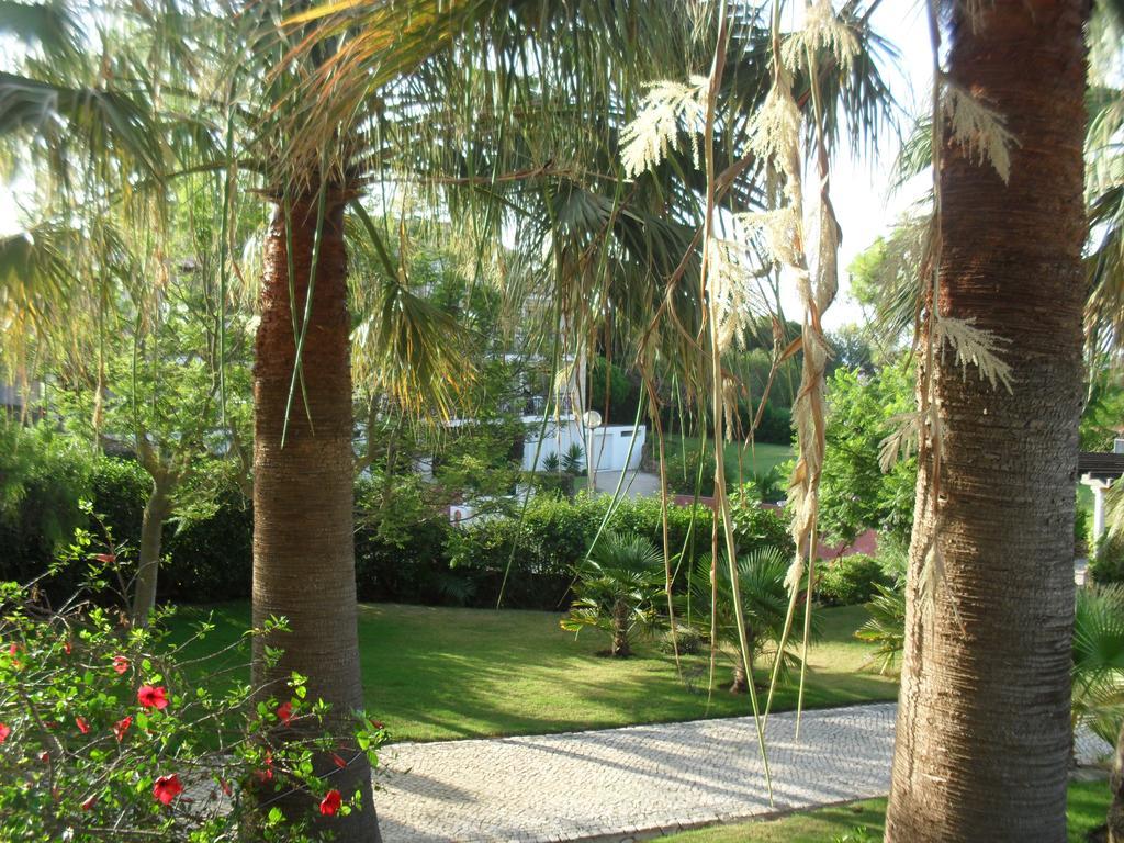 Luzmar Villas Kültér fotó